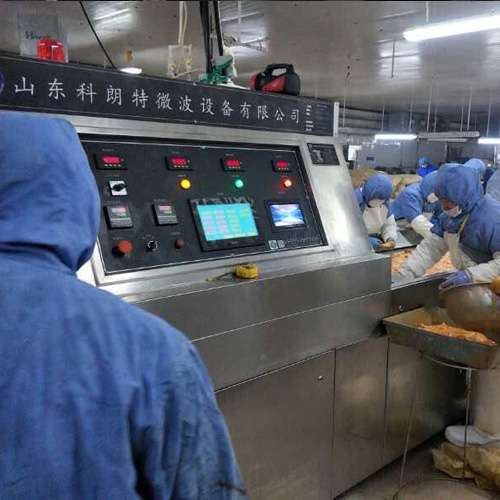 北京非油炸烤鸡排生产线